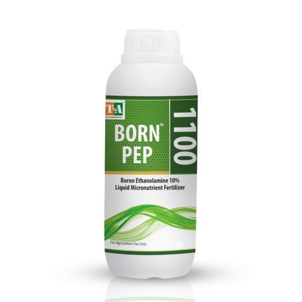 Born-Pep 1100 (Boron Ethanolamine 10% )