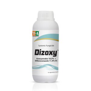 DIZOXY (Azoxystrobin 18.2% + Difenconazole 11.4% SC)