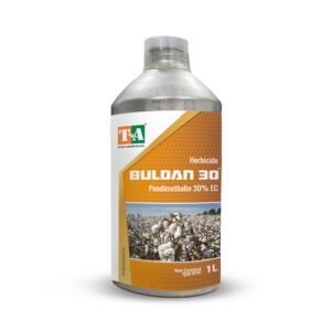 BULDAN 30