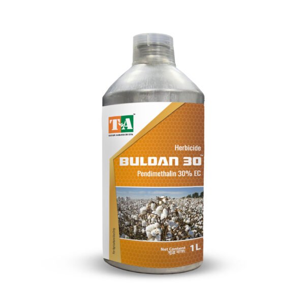 BULDAN 30