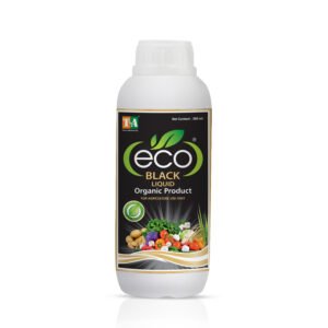 Eco-Black (Potassium Humate Liquid 20%)