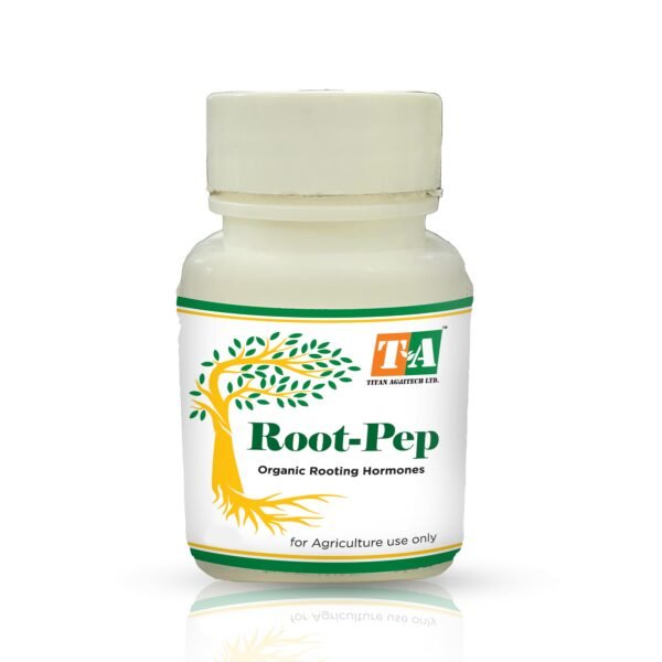 root pep