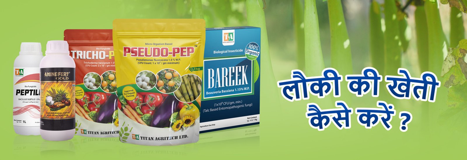 Lauki ki Kheti: लौकी की खेती कैसे शुरू करें – पूरी जानकारी