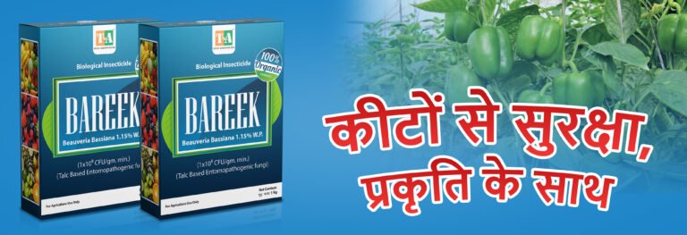 BAREEK (Beauveria bassiana 1.15% WP): फसल सुरक्षा का प्राकृतिक उपाय